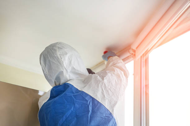 Environmental Consulting for Mold Prevention in Geneva, AL